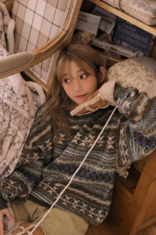 向风而行电视剧在线免费观看